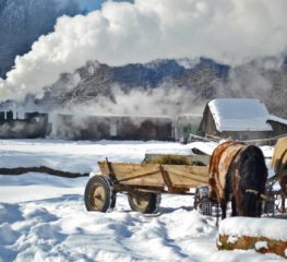 Mocanița, călătoria de poveste de încercat o dată-n viață