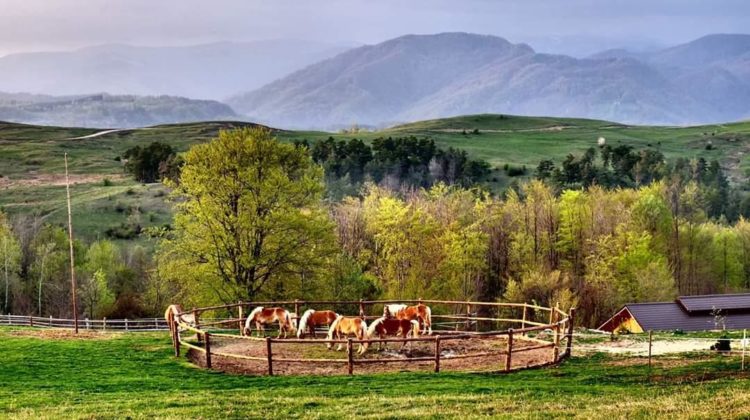 Top 10 cele mai spectaculoase pensiuni child friendly din România, pentru o vacanță de vis cu cei mici