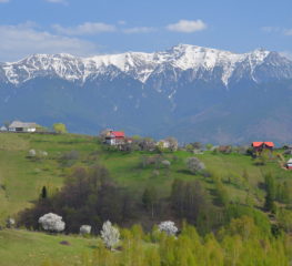 Există Raiul pe pământ și e în România: Măgura, satul care atinge cerul
