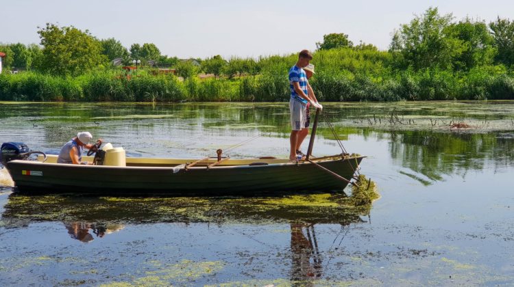 Petrece un weekend de poveste în paradisul de la Comana, la un preț greu de refuzat (200 de lei: 2 nopți, cină și spa)