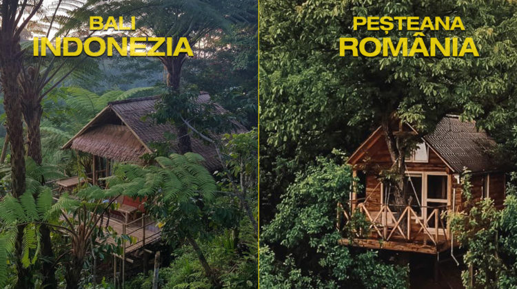 Crezi că-i Bali? Uită-te mai bine, e chiar la noi! Am găsit căsuța în copac, din raiul de pe pământ