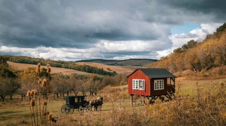 Câștigă o vacanță de vis în raiul de la Valea Verde și o cină de lux în Observatorul din sălbăticie