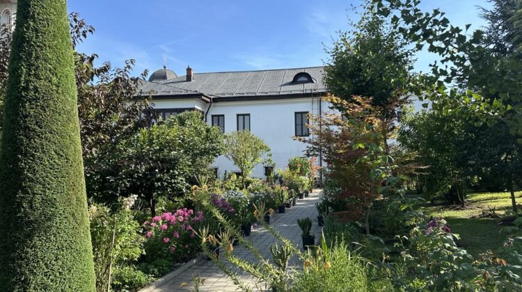 Paradisul neștiut, cu plante exotice, de la noi, din România