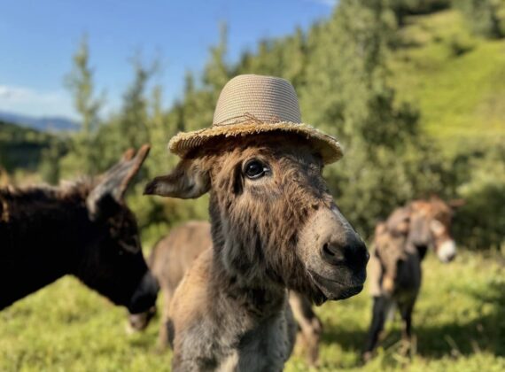 10 locuri uimitoare pentru copii, de văzut în vacanța din luna februarie