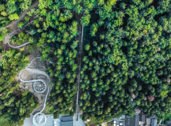 O nouă atracție turistică, pentru familiile cu copii, s-a deschis în Bucovina
