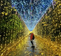 Garden of Lights, festivalul magic de lumină, unde trebuie să vii cu cei mici