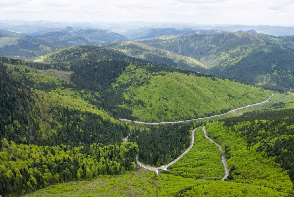 Drumul Talienilor – drumul de poveste, cu peisaje de vis, prin Pasul Stânișoara