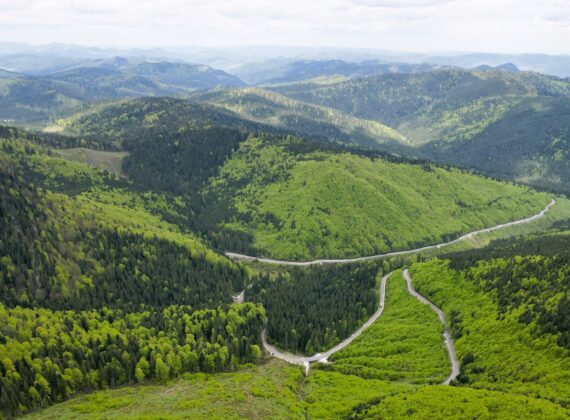Drumul Talienilor – drumul de poveste, cu peisaje de vis, prin Pasul Stânișoara