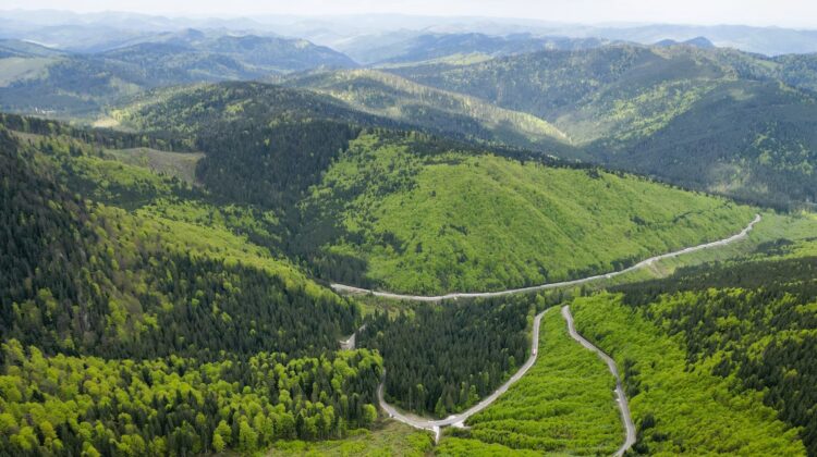 Drumul Talienilor – drumul de poveste, cu peisaje de vis, prin Pasul Stânișoara